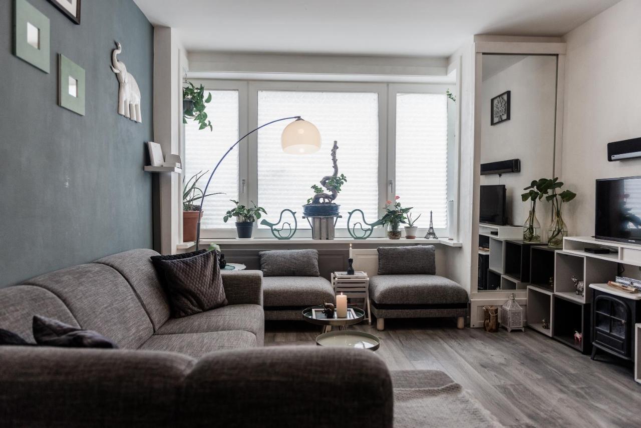 1 bedroom 15 min by tram to Amsterdam centre! Buitenkant foto